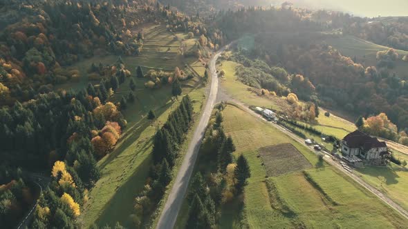 Grey Asphalt Road Surrounded By Forests and Meadows alt