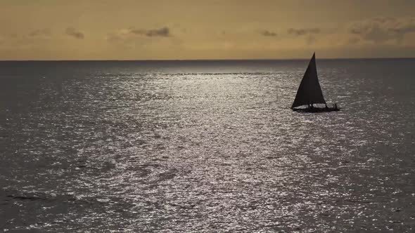 Dhow sailing fishing boat silhouetted at sunset at Watamu, Malindi, Kenya alt