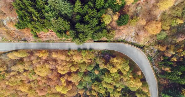 Overhead Aerial Top View Over Road in Colorful Countryside Autumn Forest alt