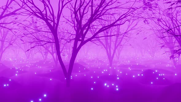 Fairy Jungle 01 Hd  alt