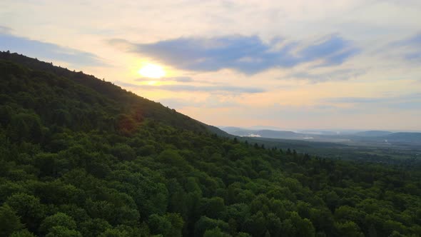 Aerial View of Green Pine Forest with Dark Spruce Trees Covering Mountain Hills at Sunset alt