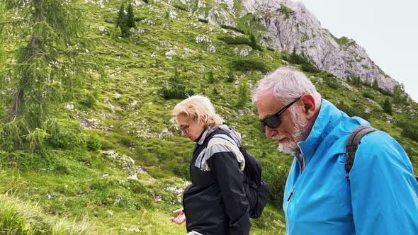Elderly Couple During a Mountain Excursion in the Alps Summer Season alt