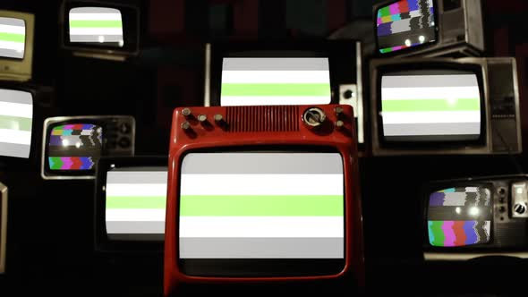 Agender Pride Flag On Retro Tvs By Maradonas Land Videohive