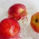 Falling apples in a glass bowl of water. Slow motion. - VideoHive Item for Sale