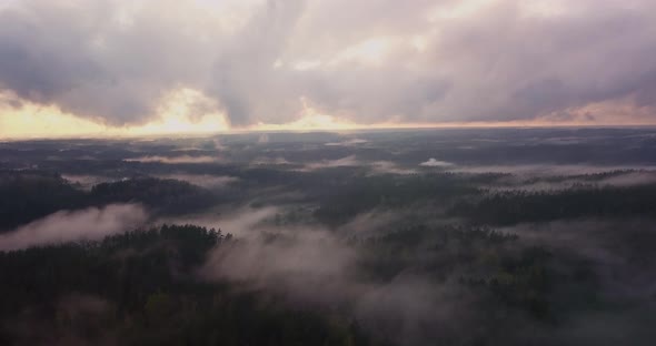 Mystic and Foggy Flight Over Fields and Forests