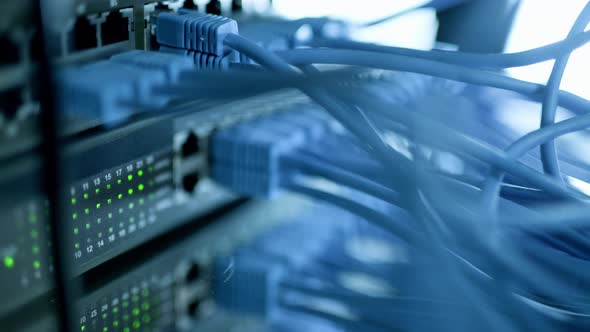 Closeup View of Modern Internet Network Switch with Plugged Ethernet Cables alt