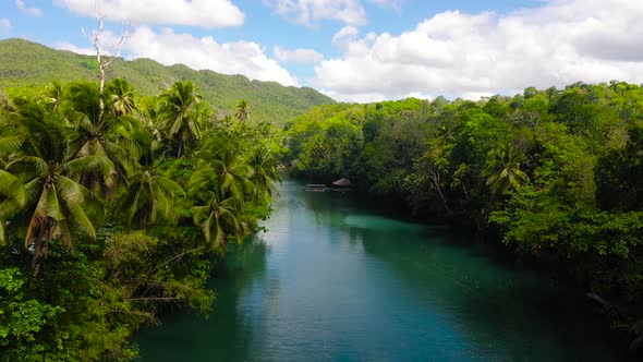 Loboc River in the Jungle alt