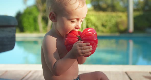 Cute Little Baby Boy Testing Tomato First Time His Life Sitting Outside