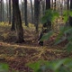 Walking in Forest in Fall - VideoHive Item for Sale
