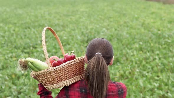 A farmer woman carries a basket of vegetables through an agricultural field. Agribusiness concept. alt