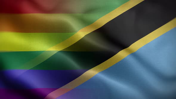 LGBT Tanzania Flag Loop Background 4K