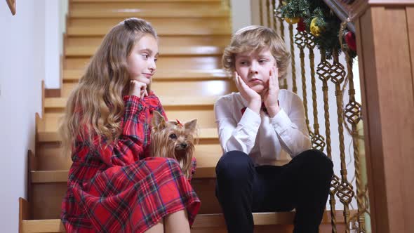 Two Sad Children Sitting on Stairs on Christmas Eve with Dog Noticing Something Pointing Away alt
