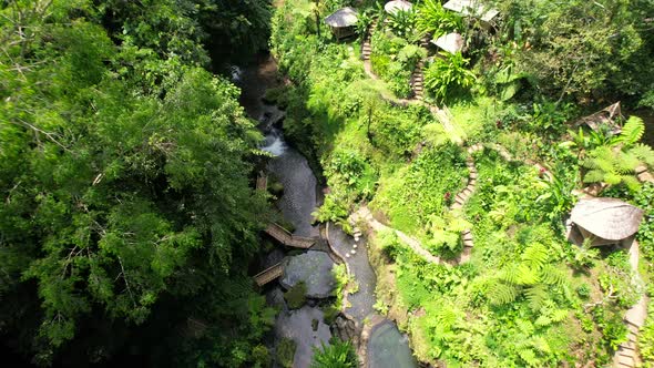 aerial top down of a river in a valley with bamboo bridges to cross in Bali Indonesia alt