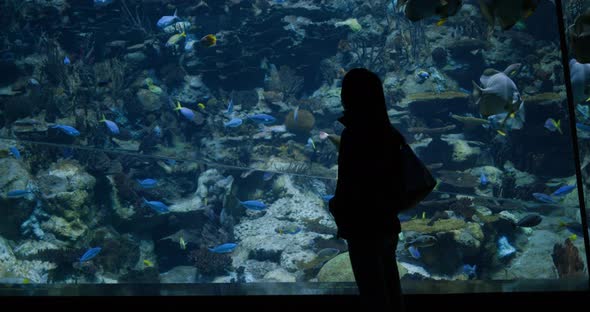 Woman visits aquarium in zoo park