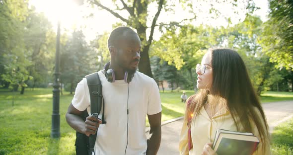 Multiracial Students Chatting in Park