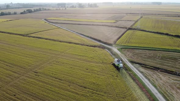 Rice's Harvest Drone View alt