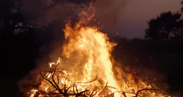 Fire Flames of Burning Bonfire in Summer Night After Sunset