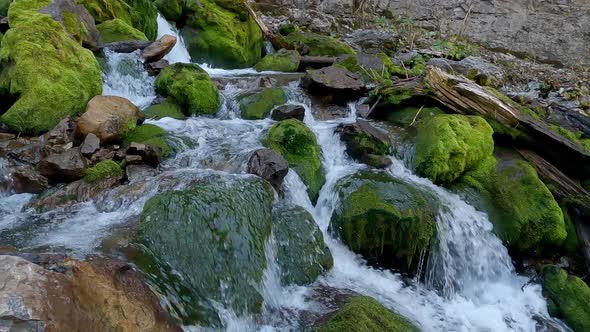 Looking up stream at the Intermittent Springs as the flow out of the canyon wall alt