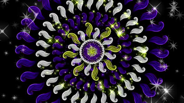 Ethnic Purple Vj alt