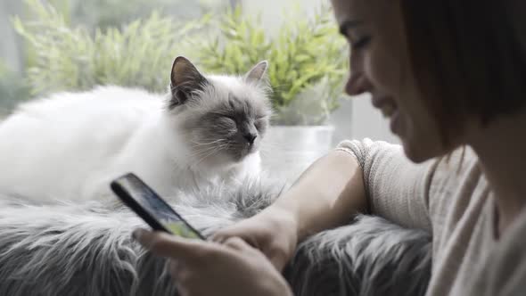Woman chatting with her phone and cute cat