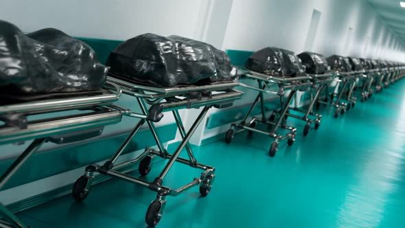 Concept of pandemic healthcare crisis.The enormous amount of deads.nCov victims. alt