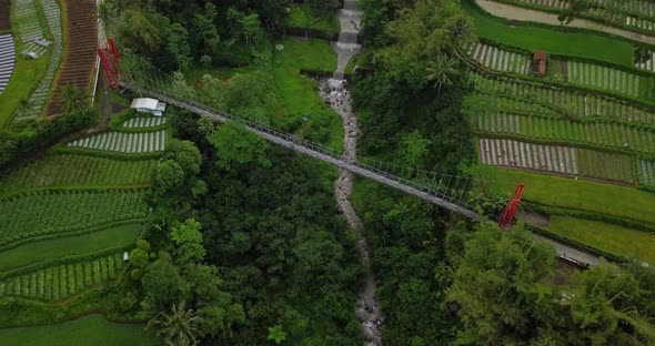 Aerial drone view of suspension bridge, valley and river with waterfalls. mangunsuko bridge or Jokow alt