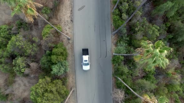 Overhead View of Several Cars Driving a Road Lined with Palm Trees alt