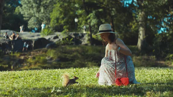Attractive girl feeds a squirrel on the lawn  alt