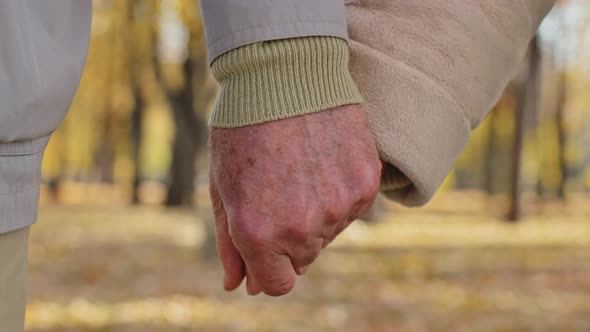 Close Up Two Wrinkled Hands Elderly Couple Hold Arms Together Romantic Gesture Old Middleaged Family alt