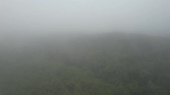 Aerial landscape view of greenery rainforest mountains on foggy day by drone