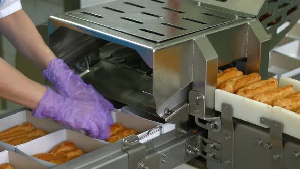 Eclair Shells on Conveyor Belt alt