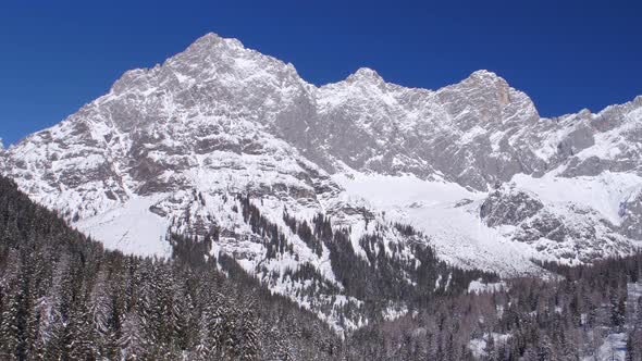 Aerial Trees and Mountain Panorama in Winter