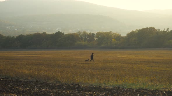 Boy walks on the grass field with his dog on a sunny day alt