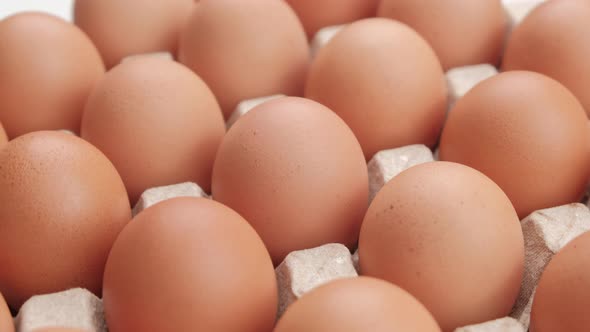 Chicken egg, rotation shot, chicken eggs in carton pack, Egg production concept.