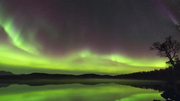 Alaska Aurora Borealis, Northern Lights 4K Timelapse alt