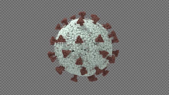 Realistic Coronavirus Rotation
