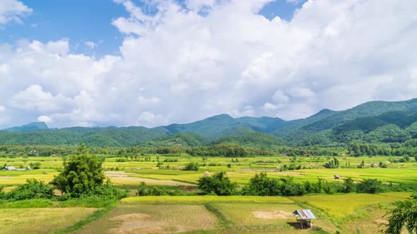 Beautiful rice paddy farming filed and village town at Pua district, Nan, Thailand - time lapse