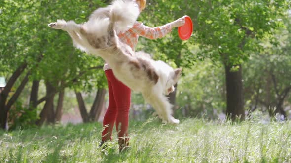 The Dog Tries To Snatch the Flying Saucer From the Hands of Its Owner alt