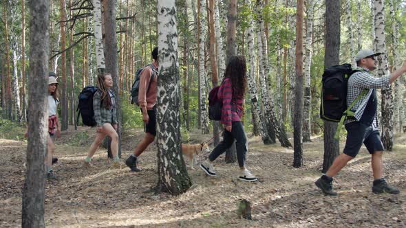 Diverse Group of Tourists Walking in Green Woods with Dog Talking Enjoying Adventurous Trip alt