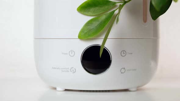 Woman Turns on Modern Ultrasonic Ionizer Humidifier on Table Next to Plants alt