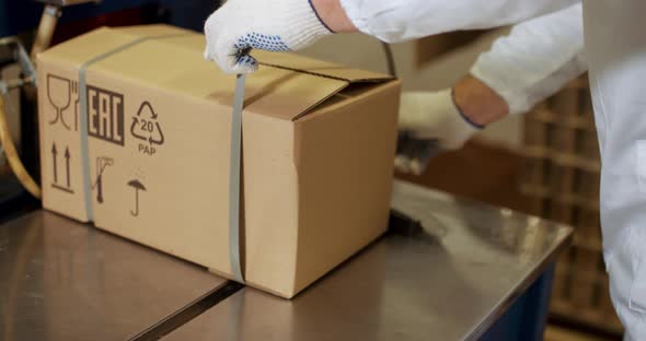 Manufacture of Food Products, Working the Packer Closes and Packs the Cardboard Box with the alt