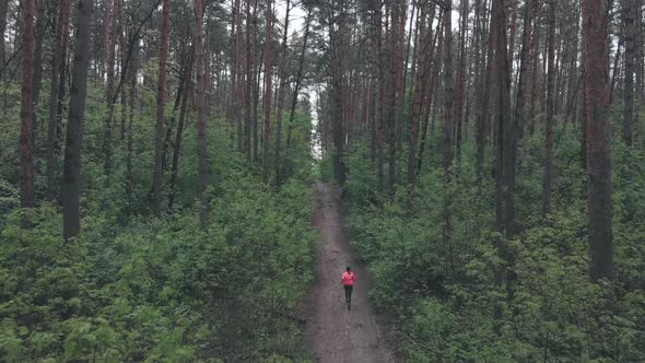 Female running uphill in forest. Woman training uphill run on dirty trail in forest on rainy day alt