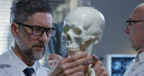 Doctors Analyzing X Ray on Skeleton alt