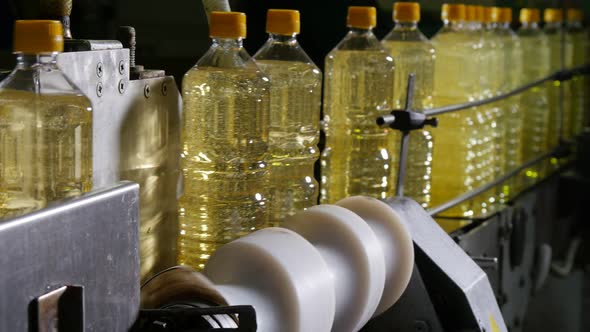 One Literplastic Bottles with Sunflower Oil Moving in Conveyor Stripes  