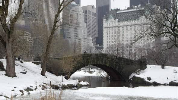 Slow motion pan from Central Park looking toward a bridge and skyscrapers. alt