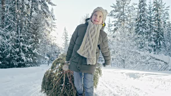 Cute Boy Dragging Christmas Tree from Forest alt