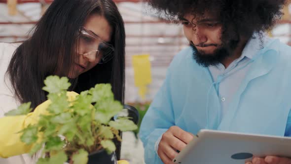 Focused and Concentrated Young Science Workers in Medicine Robes Analyzing Antibacterial Liquid in alt