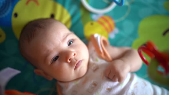 Newborn Lies on a Play Mat and Looks at the Hanging Toys alt