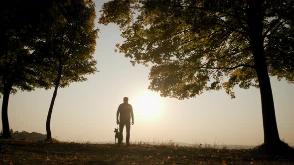 Against the Background of the Orange Sunset Sky Silhouettes of a Man Walking with a Dog During alt