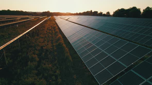 Aerial View of Solar Farm on the Green Field at Sunset Time Solar Panels in Row alt